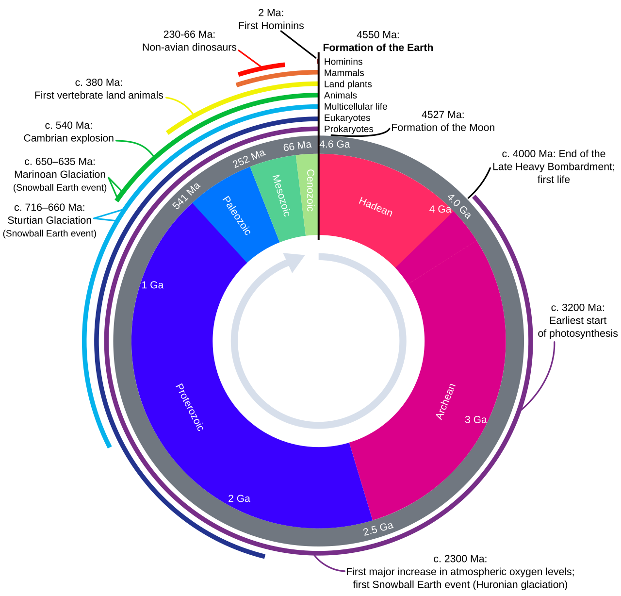 A chart showing the geological column with major time periods, epochs, and their characteristic fossils