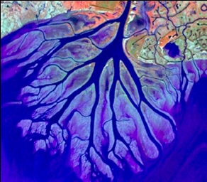 Aerial photograph of the Wax Lake Delta in Louisiana showing sediment deposition forming new land at the coast