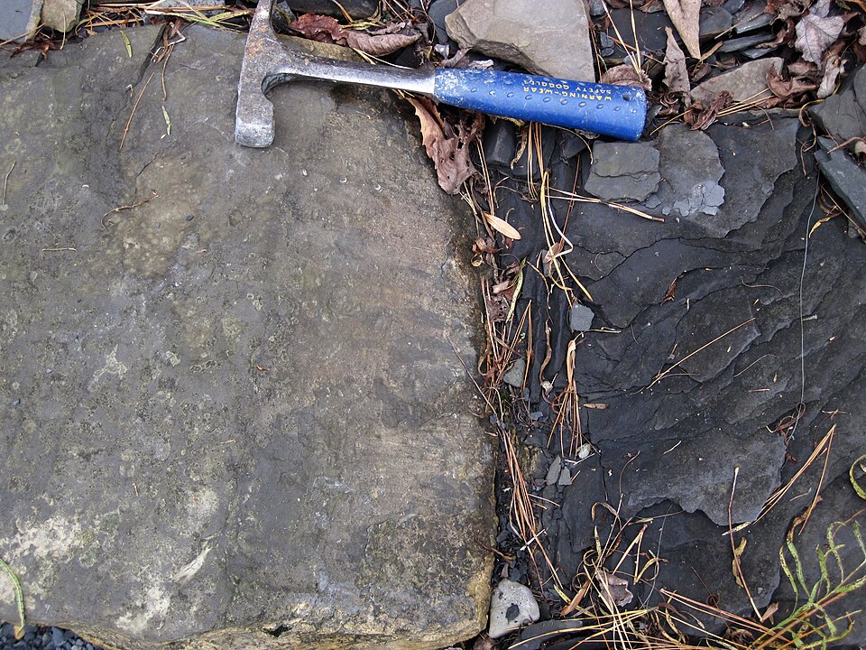 A small normal fault in Pennsylvanian limestone and shale exposed at the Beach City Dam outcrop in northeastern Ohio, with a geology hammer for scale