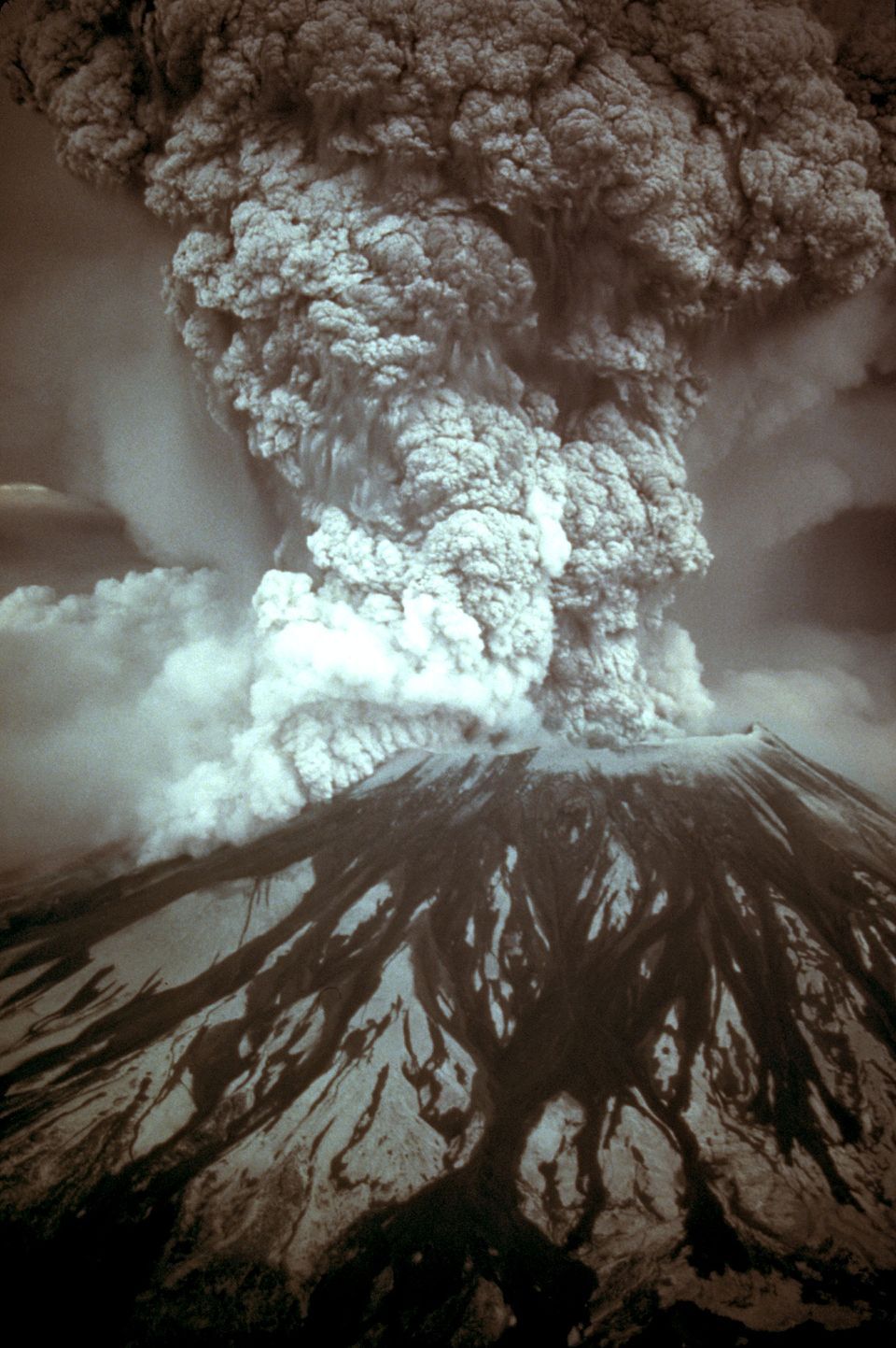 The eruption of Mount St. Helens on May 18, 1980, showing the massive Plinian eruption column rising after the catastrophic lateral blast