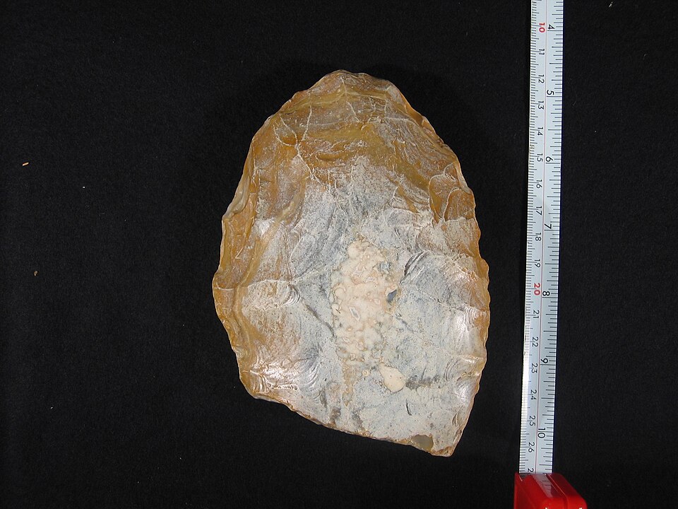 An Acheulean handaxe found on a beach in Britain, showing the bifacial flaking pattern produced by right-handed knappers across hundreds of thousands of years of hominin tool manufacture