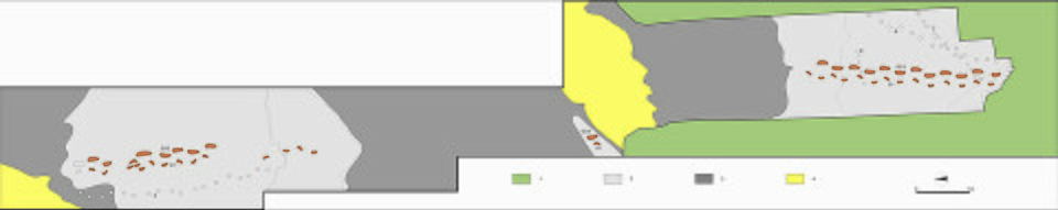 The Laetoli footprint trackways in Tanzania, dated to 3.7 million years ago, providing the earliest direct evidence of human-like bipedal locomotion