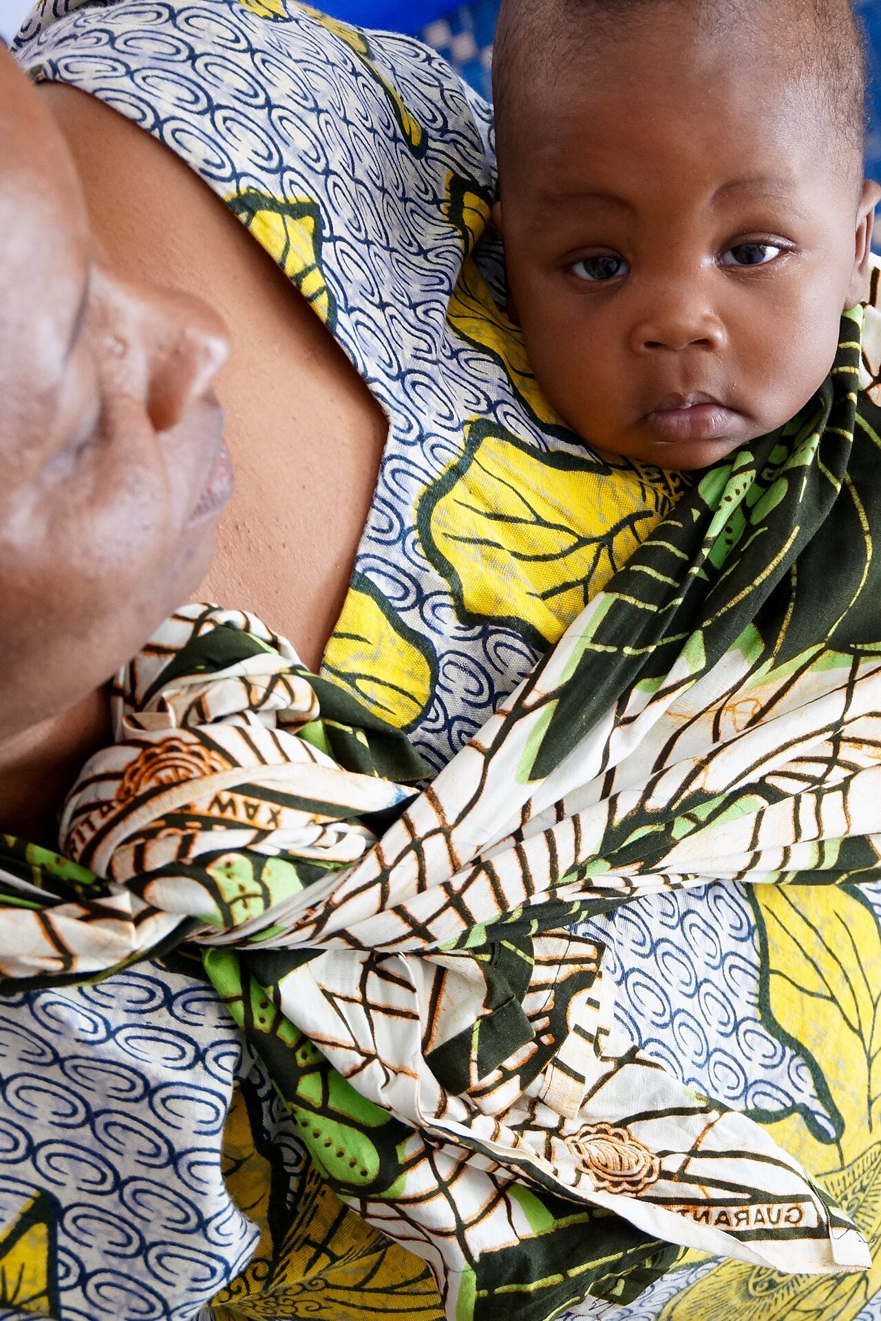 Hadza women, among whom grandmothers play a vital role in provisioning grandchildren through foraging