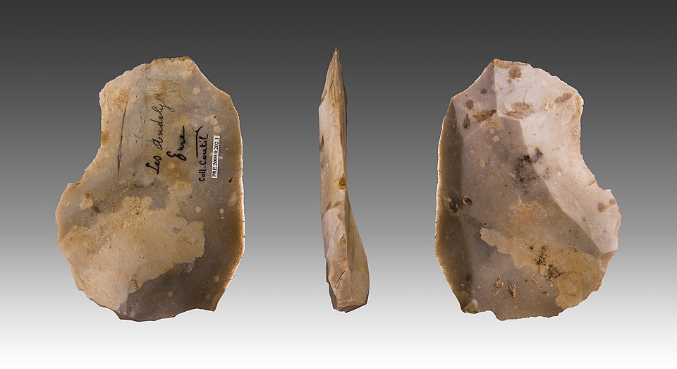 Levallois flake from the Middle Paleolithic, the type of stone tool associated with Neanderthal hafting practices