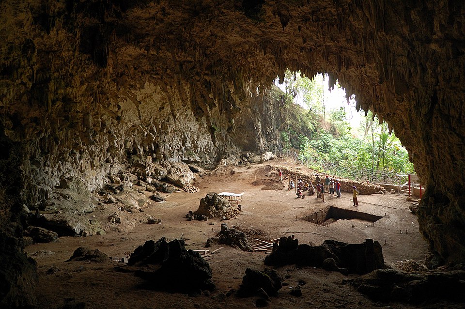 Interior of Liang Bua cave on the island of Flores, Indonesia, where the remains of Homo floresiensis were discovered in 2003