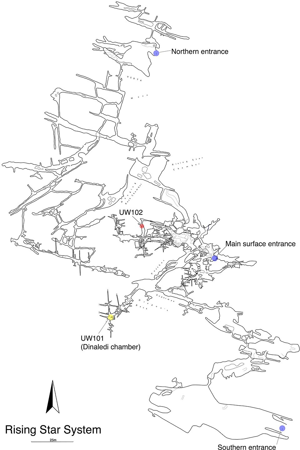 Map of the Rising Star cave system showing the locations of the Dinaledi Chamber (yellow) and Lesedi Chamber (red) where Homo naledi fossils were found