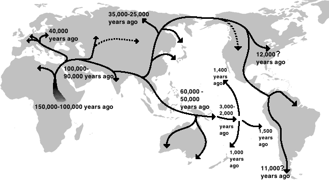 Map showing hypothetical human migration routes following the Out-of-Africa dispersal, reflecting patterns of genetic diversity that decline with distance from Africa