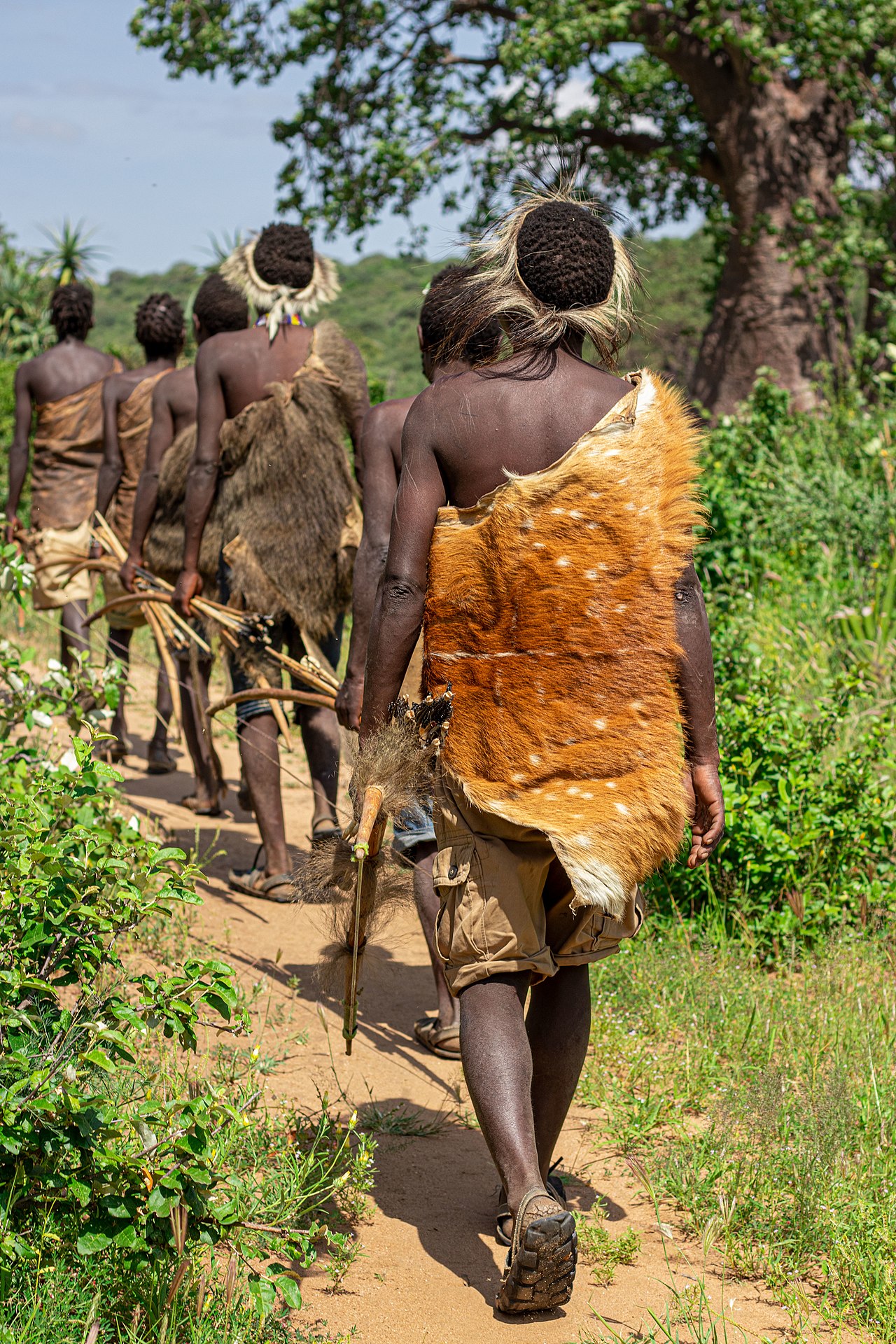 Hadza foragers, whose life history patterns provide insight into the evolution of human childhood, adolescence, and longevity