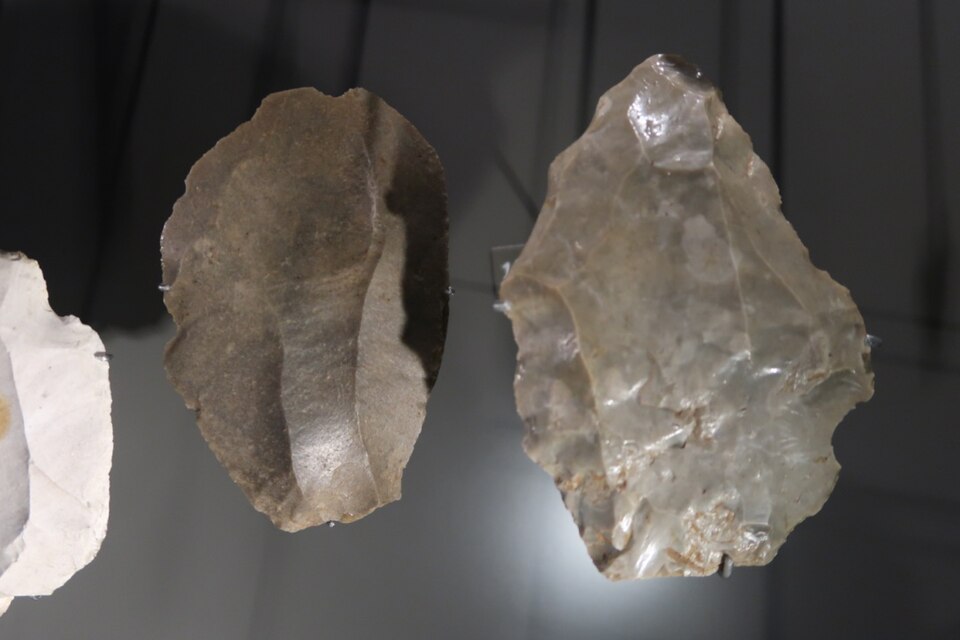 Two Levallois flakes from Middle Paleolithic French sites, on display at the Musee des Confluences in Lyon.