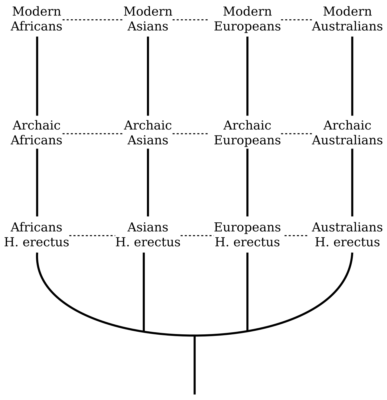 Diagram illustrating the multiregional and replacement models of modern human origins