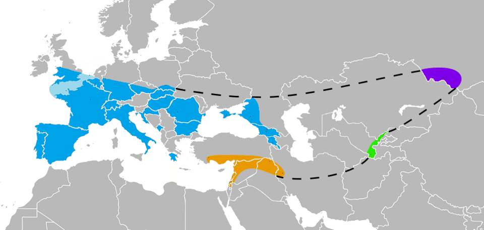 Map showing the known geographic range of Neanderthals across Europe, Southwest Asia, Central Asia, and the Altai Mountains