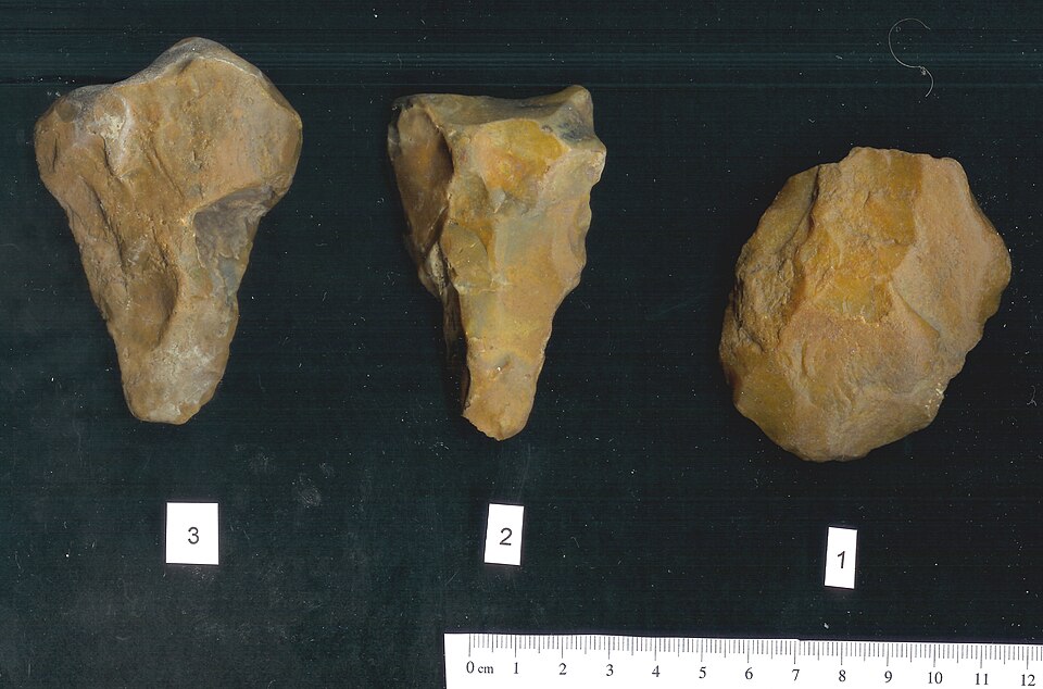 Acheulean hand axes showing the ventral faces, representing the sophisticated lithic technology associated with Neanderthal stone tool traditions