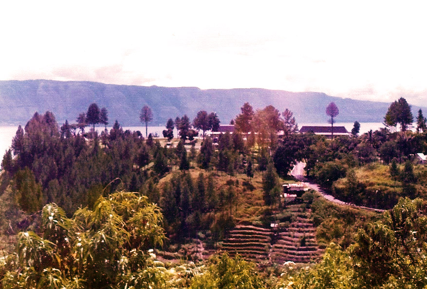 Aerial view of Lake Toba in Sumatra, Indonesia, occupying the caldera of the supervolcano that erupted approximately 74,000 years ago