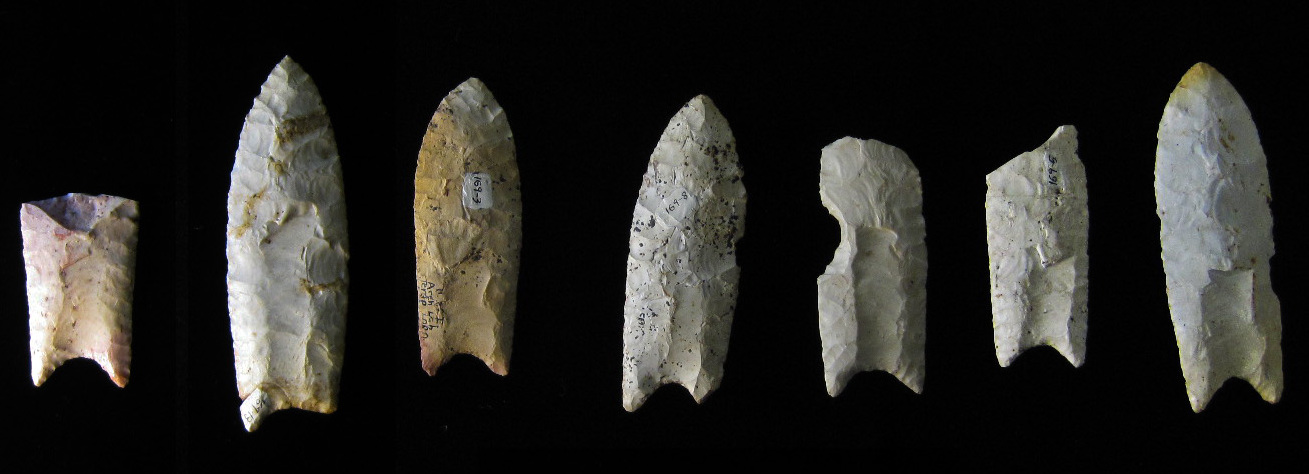 Clovis point projectile point, a fluted bifacial stone tool characteristic of the Clovis culture dating to approximately 13,000 years ago