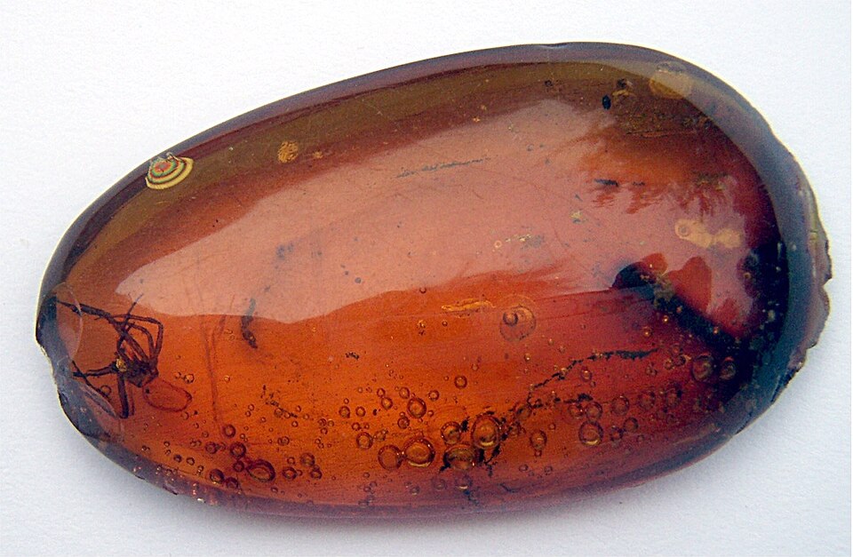 A spider trapped in amber, with bubbles indicating the animal was alive when it became entrapped