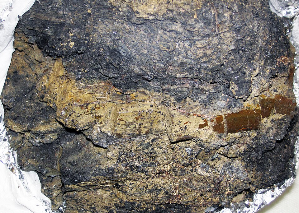 Cretaceous-Tertiary boundary clay from Raton Formation, southern Colorado, marking the K-Pg extinction event 66 million years ago