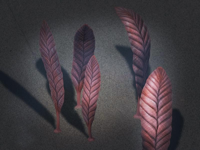 Life restoration of Charnia masoni, a frond-like rangeomorph from the Ediacaran biota