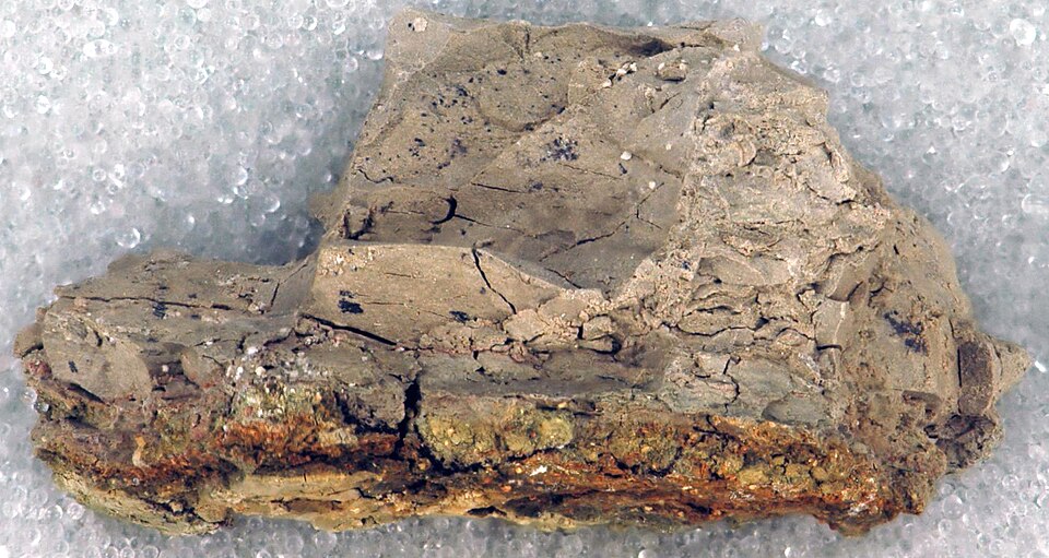 The Cretaceous-Paleogene boundary clay exposed in a road cut near Agost, southeastern Spain