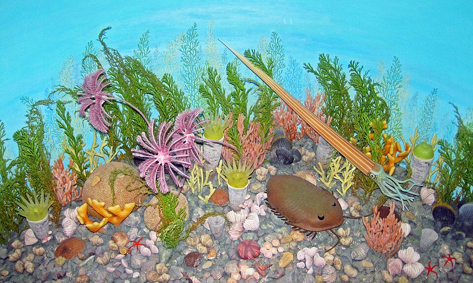 Diorama reconstruction of a Late Ordovician seafloor with trilobites, crinoids, corals, brachiopods, and nautiloids