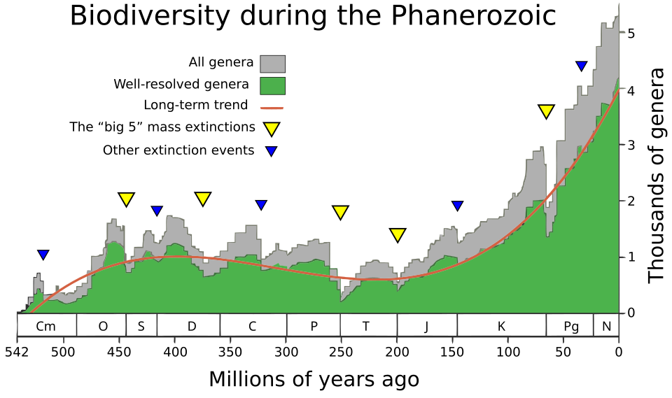 Graph of Phanerozoic marine biodiversity showing the five mass extinction events and the three great evolutionary faunas