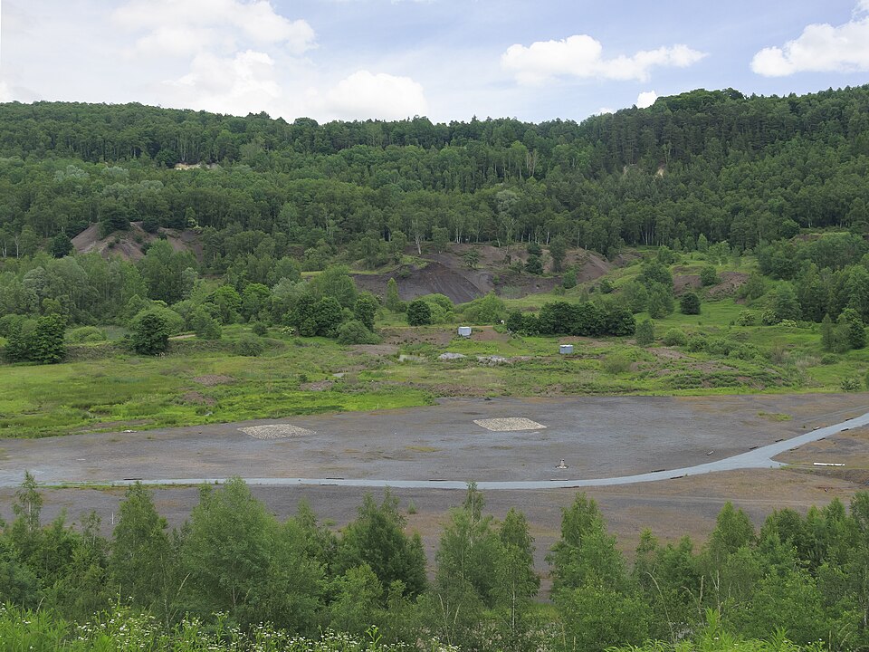 Exceptionally preserved fossil from the Messel Pit in Germany