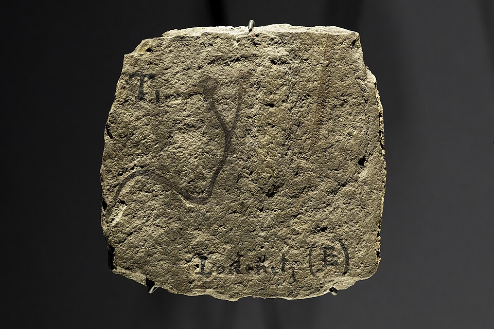 Fossil of Cooksonia barrandei, one of the earliest known land plants, displayed at the National Museum in Prague