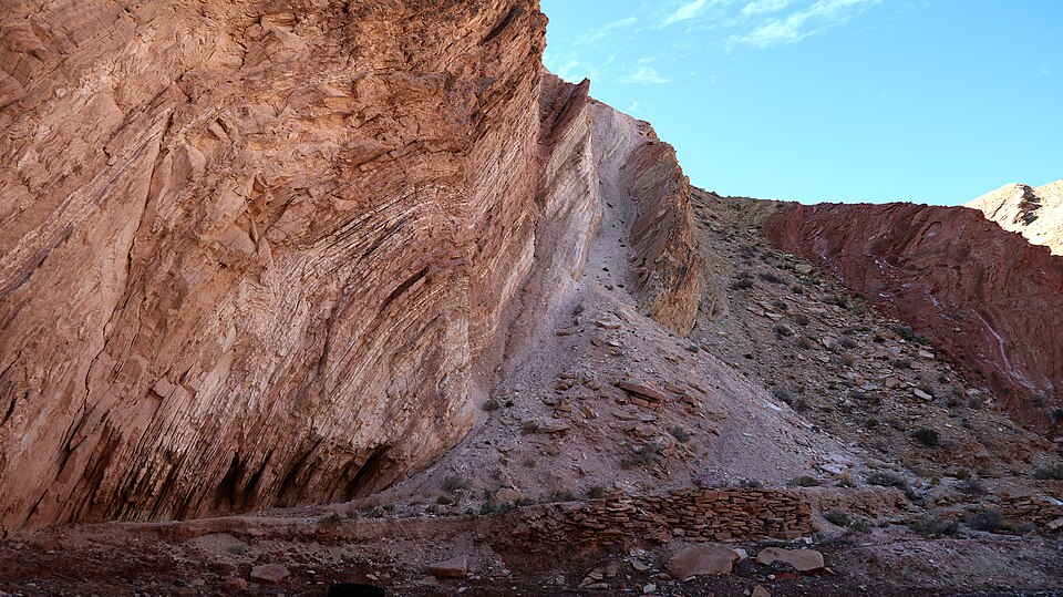Layers of sedimentary rock containing fossils