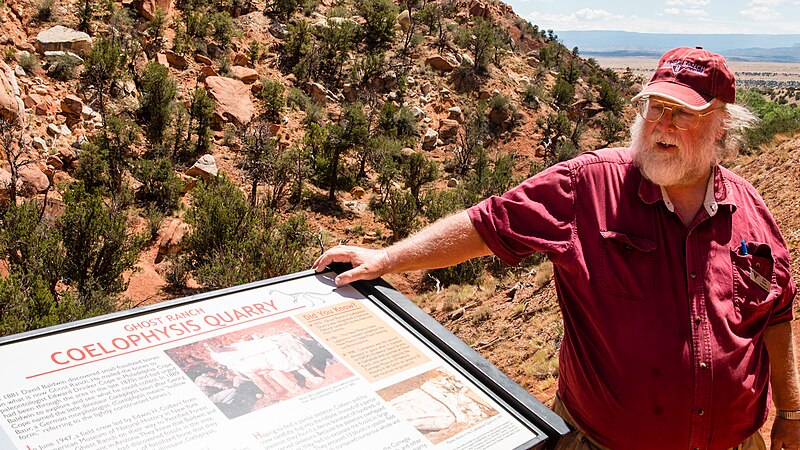 The Coelophysis quarry at Ghost Ranch, New Mexico, showing densely packed skeletal remains of early dinosaurs