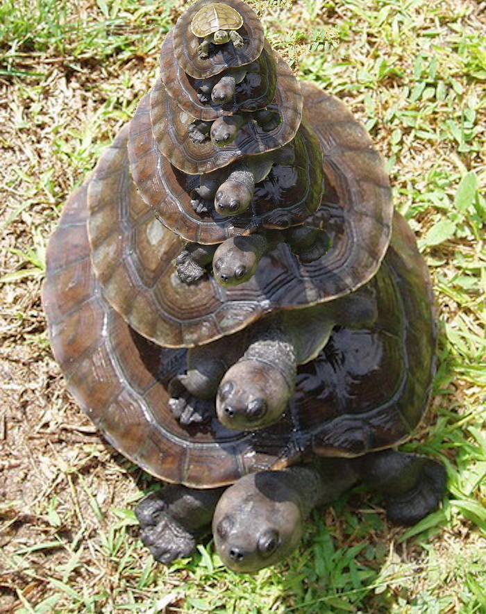 An image from Wikimedia that had been used to illustrate the notion "turtles all the way down" was edited to increase the illusion/layers of turtling.