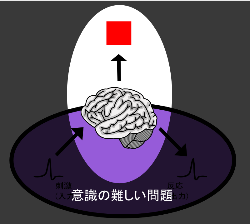 Diagram of hard problem of consciousness, Japanese version.