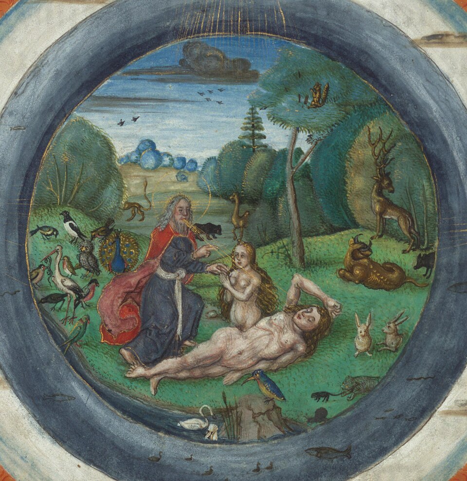 Illuminated manuscript depicting the creation of the world and Eve, from a thirteenth-century Bible